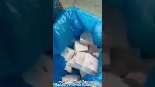 VERFOODSOLUTIONS Frozen Pork Meat Block Continuous Portion Cutting Machine Test Before Delivery