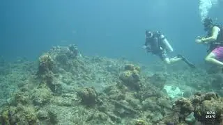 Scuba in Curacao - four turtles just chillin&rsquo;