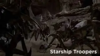 Temp Reel