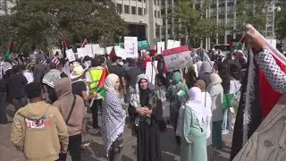 Palestinian community in Memphis hold peaceful rally in response to violence in Gaza