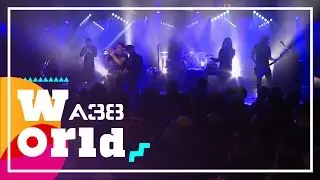 Shantel & Bucovina Club Orkestar - Eyes of mine // Live 2015 // A38 World