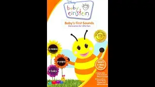 Baby's First Sounds Toy Chest