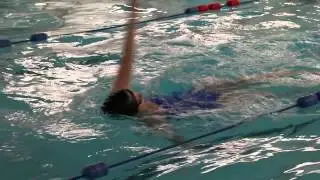 Project Harley backstroke
