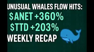 Unusual Whales Flow Hits: $ANET +360%, $TTD +203% | Weekly Recap 🐋