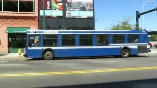 CTtransit #458 on Route F