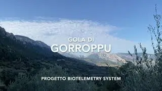 ISTEDDA DUCATI SARDINIA DOC MTB & FULL SPORT ( TREKKING , VELA)