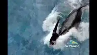 SeaWorld Believe Show Commercial
