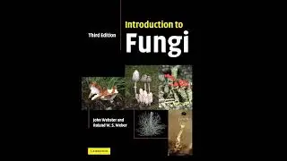Introduction | Chapter 1 - Introduction to Fungi