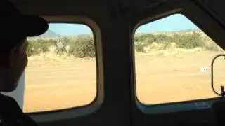 Elephant runway