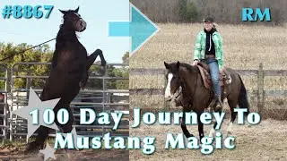 RM’s 100 Day Journey To Mustang Magic | 2023 Mustang Magic Trainers Challenge