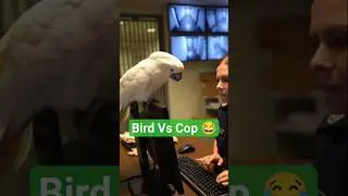 Какаду против офицера 😂🐦 | Самые смешные короткие шорты с птицами #шорты