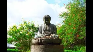FOSTER BOTANICAL GARDEN: HONOLULU'S LIVING LIBRARY OF TROPICAL LIFE (SLIDE SHOW)