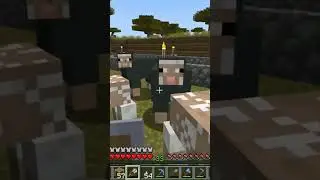 #minecraft #asmr #asmrminecraft