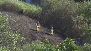 Vancouver brush fire &lsquo;telltale sign&rsquo; of active wildfire season