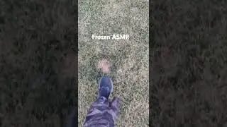 Frozen walk #asmr #asmrsounds #frozen #icy #grass #winter   please like and follow for more!