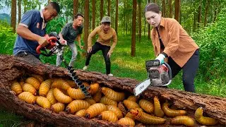 Harvest 10000+ itch bug to sell &ndash; Valakkai Bajji Recipe Cooking in Village | Giant python escape.