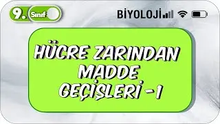 Hücre Zarından Madde Geçişleri - 1 | Öğrenme Garantili Özet Anlatım  #2023