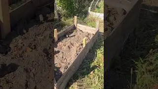 FREE Raised Bed for Gardening! Gardening Life Hack!!! #garden #gardenbed #gardening #farm #lifehacks