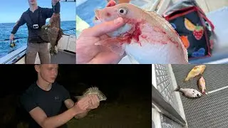 4 day salt water fishing adventure. (So many different species)