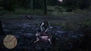 Timber Wolf location RDR2