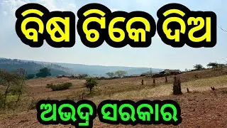ବିଷ ଟିକେ ଦିଅ❗ଅଭଦ୍ର ସରକାର❗#triballife #charigarhvlogs #odiavideo #odisha #travelfood #villagevideo 