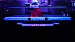 Sonoco Institute - Makerbot Replicator 2 Printing a Tiger