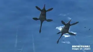 太古の海　クビナガリュウからのメッセージ　2010（平成22）年制作