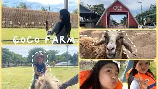 CoCo Farm | Farm, Food, Fun 