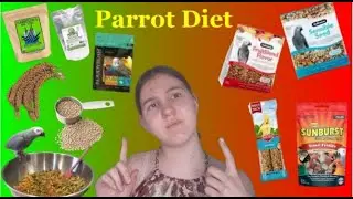 What Should You Feed Your Bird? | Complete Parrot Diet Guide