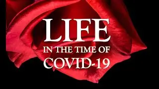 Racism in the Time of COVID-19