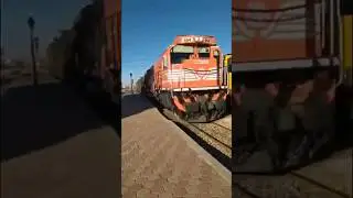 DS 654 #shorts #railway #railfan #tunisie #trains #sncft #horn #viral #explore #2023