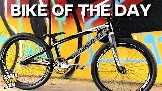 This Bike Was Built to Win Races -Chase RSP BMX Cruiser
