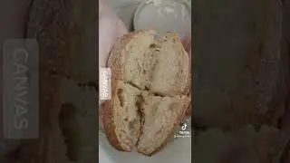 《CANVAS》Kai Ward 主廚的當代澳洲料理Modern Australian Cuisine