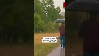 В Беларуси придёт сильное похоладание / #новостибеларуси