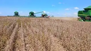 Sabadão bruto .agro MT.