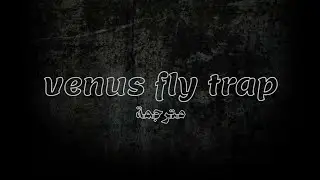 MARINA - Venus Fly Trap / Arabic subtitles with lyrics مترجمة