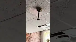 The Falling Ceiling Fan!  #62