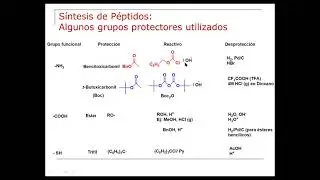 ORG102-27-Síntesis de Péptidos