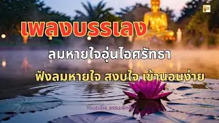 🌿 ผ่อนคลายด้วยเสียงบรรเลงธรรมะ เพลงบรรเลงโทนอุ่น สงบ เหมาะสำหรับทำสมาธิ