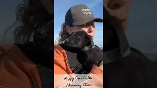 Farm & Ranch Life Shasta Service Dogs & Marble Mountain Kennels #farmlife #ranchlife #countryliving