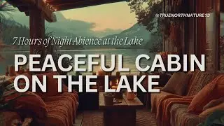 Lakeside Cabin Night Ambience &ndash; 7 Hours of Nature Sounds for Deep Sleep