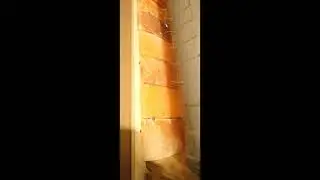 ДИ#3. Аэроионный кактус и гималайская соль