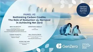 Rethinking Carbon Credits: The Role of Reduction vs. Removal in Achieving Net Zero