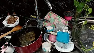 Dishwashing with Sponge & Suds | From Garden Mess to Kitchen Peace🌱🧼