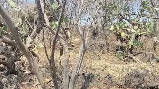 Encontré el escondite de la bruja maria y la pudimos ayudar durante el día🧙‍♂️😨