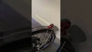 Carbon fiber fenders with racing stripes look good on a Brompton (4.2025)