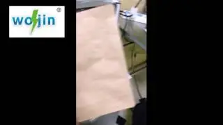 WOJIN one way degassing valve installation machine