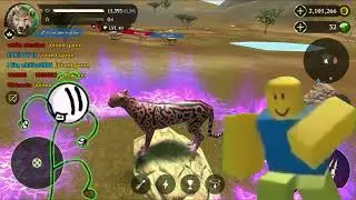 The Cheetah Online Simulator // NOT AGAIN..!