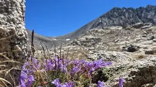 Climbing 14,064&rsquo; Split Mountain from the JMT