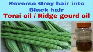 Time tested remedy to reverse grey hair into black hair-Torai oil #shorts#sunitamusale#greyhair
